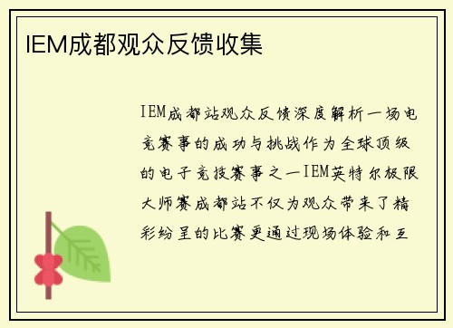 IEM成都观众反馈收集