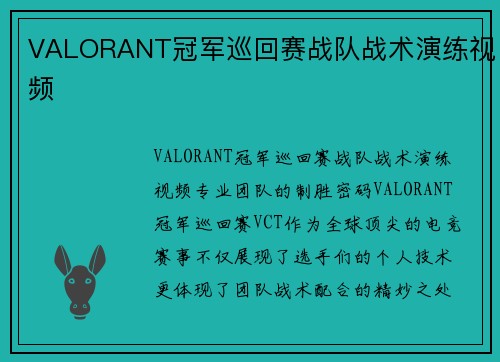 VALORANT冠军巡回赛战队战术演练视频