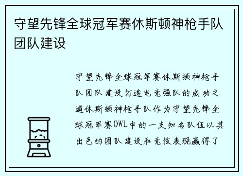 守望先锋全球冠军赛休斯顿神枪手队团队建设
